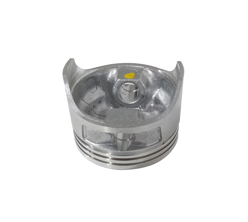 Поршень LC1P65FA/130030092-0001