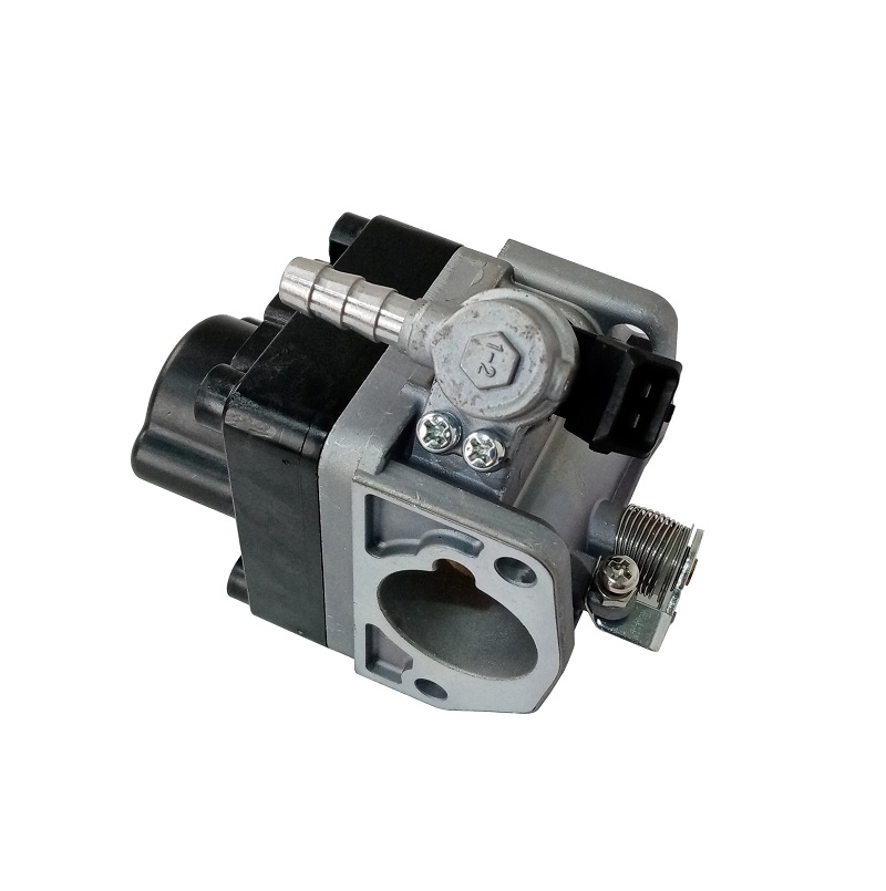 Блок управления дроссельной заслонкой H460i/170310045-0001