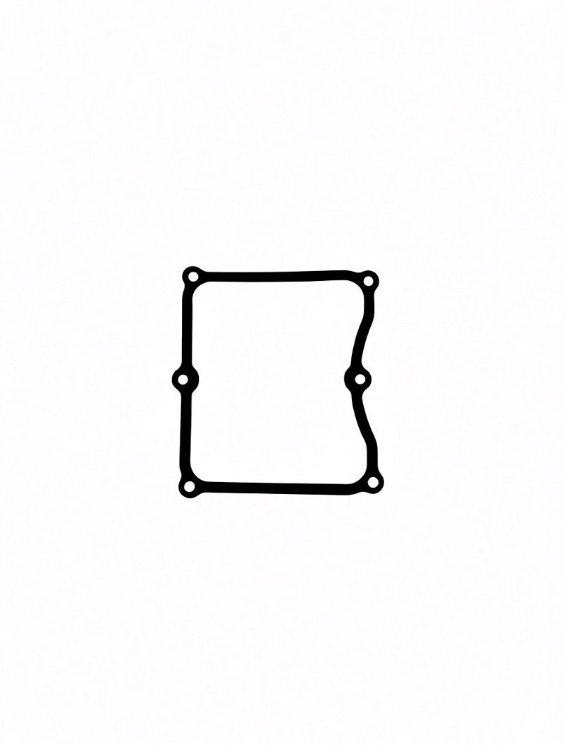 Прокладка крышки ГБЦ LC196FD/120250062-0001