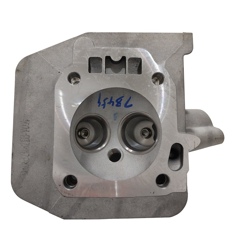 ГБЦ G420FA/120080563-0001